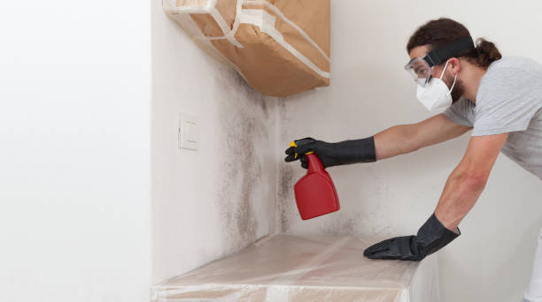 Professional Mold Remediation technician working in Omena, MI